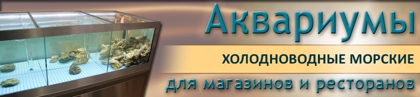 Промышленные аквариумы / Морские аквариумы для ресторанов и магазинов / Морские аквариумы для ресторанов и магазинов Промышленные аквариумы / Морские аквариумы для ресторанов и магазинов / Морские аквариумы для ресторанов и магазинов