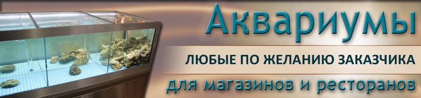 Промышленные аквариумы / Морские аквариумы для ресторанов и магазинов / Морские аквариумы для ресторанов и магазинов Промышленные аквариумы / Морские аквариумы для ресторанов и магазинов / Морские аквариумы для ресторанов и магазинов