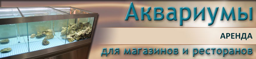 Промышленные аквариумы / Морские аквариумы для ресторанов и магазинов / Морские аквариумы для ресторанов и магазинов Промышленные аквариумы / Морские аквариумы для ресторанов и магазинов / Морские аквариумы для ресторанов и магазинов